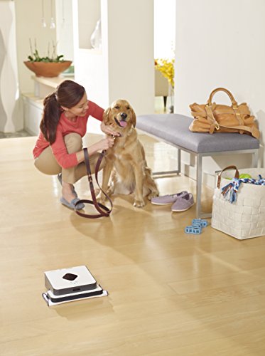 iRobot Braava 390t